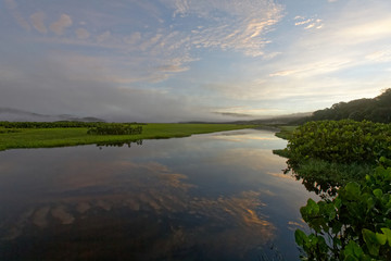 Naklejka premium Brume et lever du jour sur les marais de Kaw en Guyane française