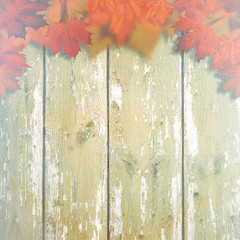 Abstract autumnal backgrounds with maple leaves over old wooden