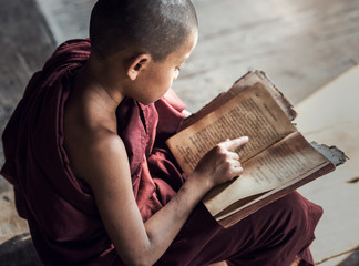 Young Buddhist novice monk reading and study in monastery, Myanmar - obrazy, fototapety, plakaty