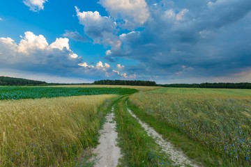 Fototapeta na wymiar Beautiful stormy sky over fields in Poland