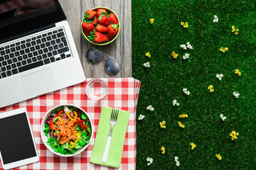 Picnic setting with laptop