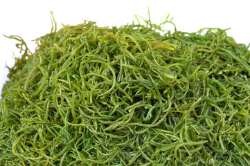 Fresh green seaweed on white background