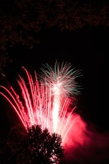 Fireworks in park with trees at Waterford NY