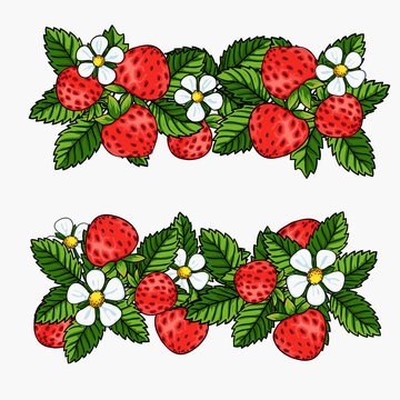 beautiful strawberries composition