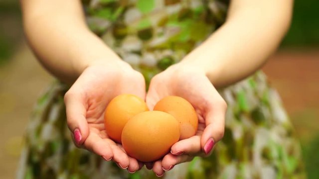 footage Woman holding a eggs close up. 4K