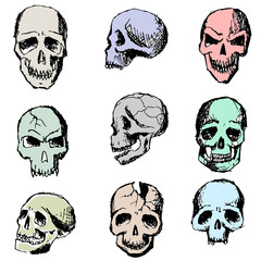 Colorful hand-painted skull. Vector.Illustration.