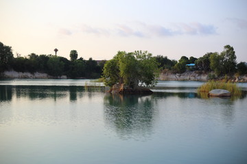 Fototapeta na wymiar Lake and tree