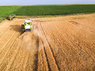 Obraz premium Aerial view of combine on harvest field