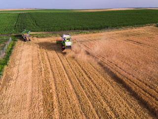 Fototapeta premium Aerial view of combine on harvest field