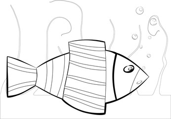 black and white sea fish