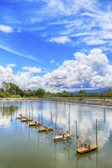 soft focus of Reflections in the lake on a sunny day with cloudy