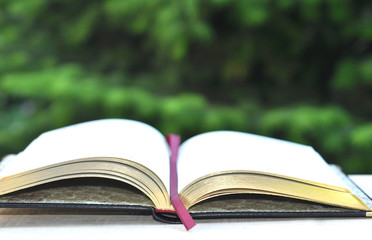 Open Book with Golden Pages on Wood Table over Nature Background