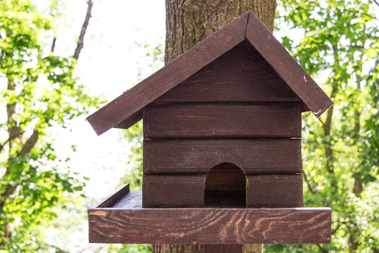 house for birds on a tree