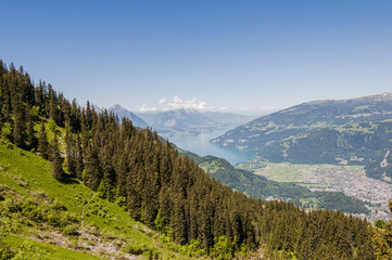 Interlaken, Dorf, Schynige Platte, Wanderweg, Ausflugsberg, Thunersee, Berner Oberland, Alpen, Schweizer Berge, Sommer, Schweiz