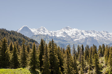 Grindelwald, Alpen, Schweizer Berge, Eiger, Mönch, Jungfrau, Schynige Platte, Berner Oberland, Wanderweg, Wanderferien, Sommer, Schweiz
