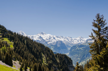 Grindelwald, Schynige Platte, Eiger, Mönch, Jungfrau, Berner Oberland, Alpen, Schweizer Berge, Wanderweg, Sommer, Schweiz