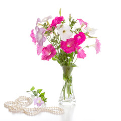 Bouquet of pink petunias