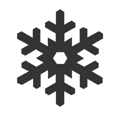 Foto op Aluminium Snowflake icon isolated on a white background. Vector illustration. © alexalmighty