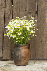 Vase with chamomile flowers