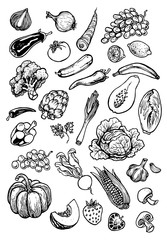 Graphic Fruits and Vegetables