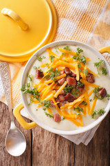 Tasty thick potato soup with bacon and cheddar cheese. Vertical top view
