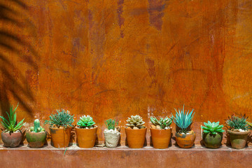 green plastic cactus with red wall