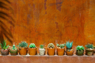 green plastic cactus with red wall © kardd