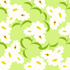 White chamomile seamless pattern on a grean background.