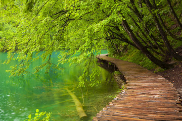 Plitvice lakes park in Croatia.