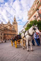 Naklejka na ściany i meble Horse carriage in Seville, the Giralda cathedral in the background, Andalusia, Spain