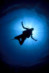 Scuba diver