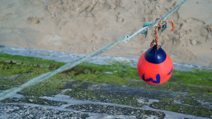 sprung ins meer in Cornwall © endlesssea2011