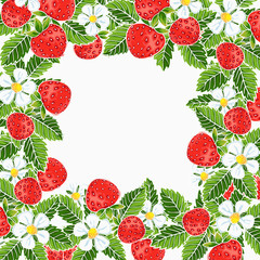 beautiful strawberries frame