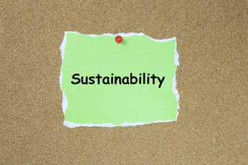 The word Sustainability 