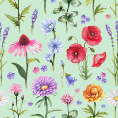 Wild flowers illustrations. Watercolor seamless pattern