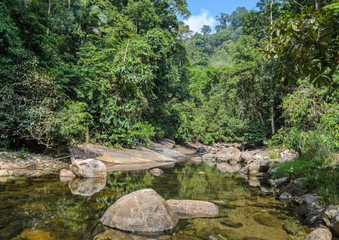 Fototapeta na wymiar Mountain stream in green forest at summer time