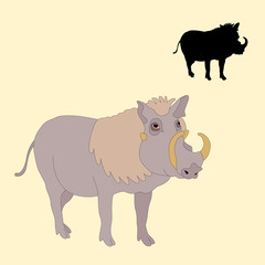 adult warthog realistic vector illustration black silhouette set