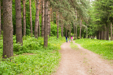 Happy young family walking down the road outside in green nature.