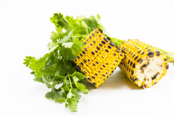 Grilled corn with coriander isolated on white background.Food hi-fiber and hi-vitamin