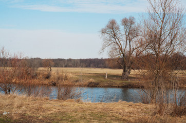 River , shore, nature of Ukraine, early spring