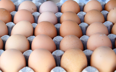 organic eggs in egg box