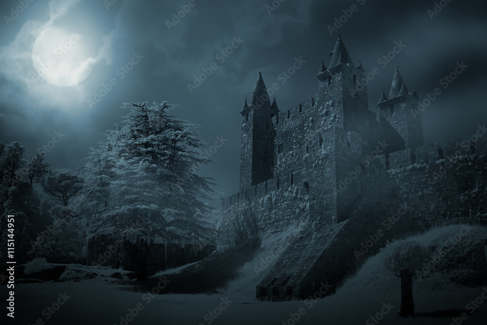 Poster medieval castle at night