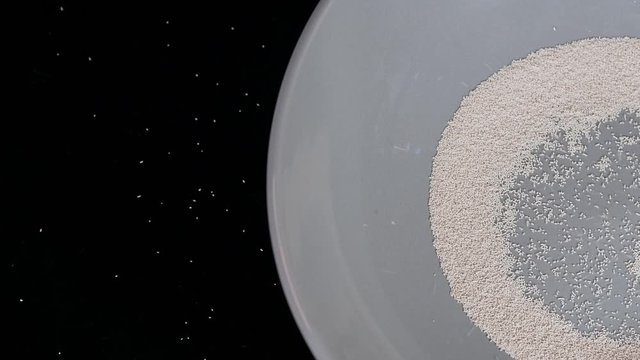 Bowl of active dry yeast