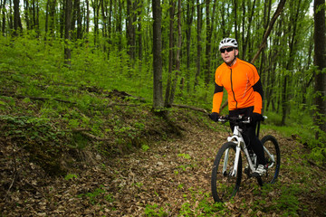 Obraz premium Cyclist Riding the Bike on a Trail in Summer Forest
