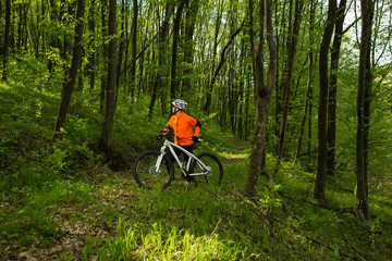 Fototapeta premium Cyclist Riding the Bike on a Trail in Summer Forest