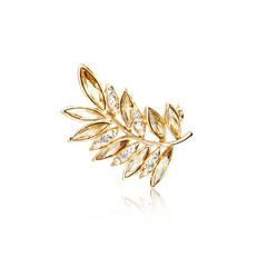 Diamond brooch isolated on white

