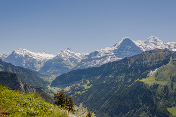 Grindelwald, Dorf, Schynige Platte, First, Eiger, Mönch, Jungfrau Schreckhorn, Wetterhorn, Wanderweg, Alpen, Sommer, Schweiz