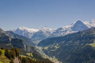 Fototapeta na wymiar Grindelwald, Bergdorf, Berner Oberland, Alpen, Eiger, Mönch, Jungfrau, Schreckhorn, Gletscher, Wanderweg, Schweizer Berge, Sommer, Schweiz