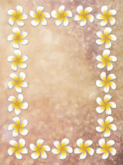 Plumeria Frame on Bokeh Background