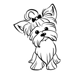 Sketch Funny dog Yorkshire terrier breed sitting hand drawing vector